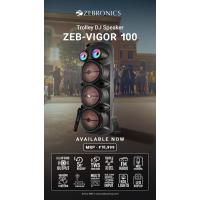 Zebronics ZebVigor 100